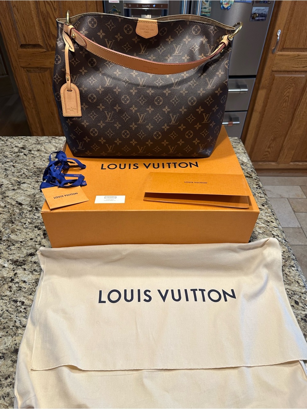 AUTHENTIC LV Louis Vuitton Graceful MM Monogram Purse - Hobo Shoulder Bag